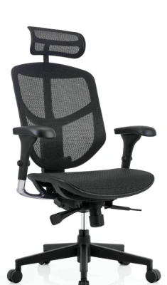 Кресло для руководителя FALTO ENJOY PROJECT 2 EJB2B-AB-HAM-W09-01-BK черная сетка