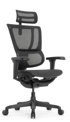 Кресло для руководителя FALTO IOO ULTRA IOOU-B-HAM-4D-T-168-B1 чёрный каркас, черная сетка T-168-B1 Mesh